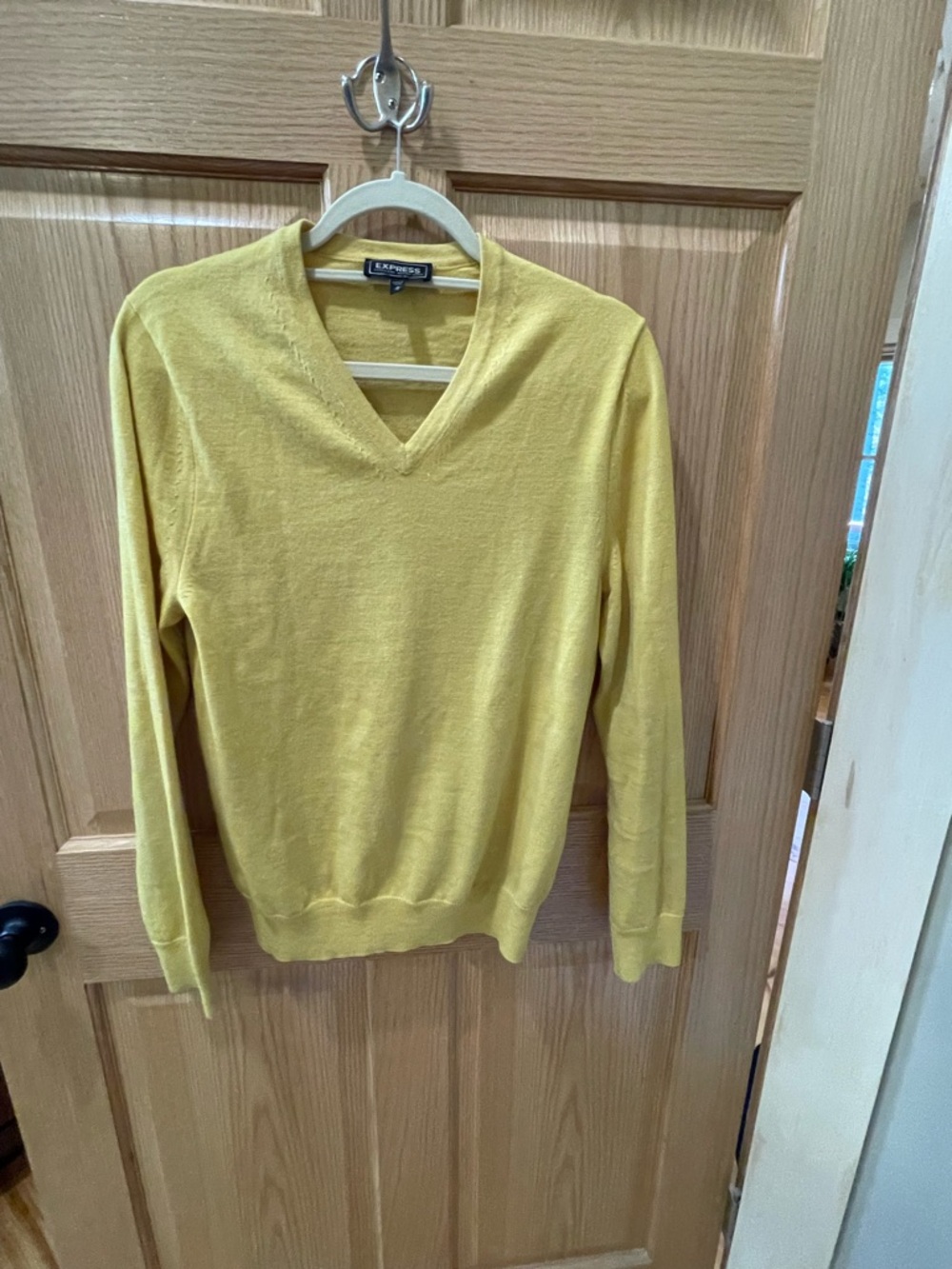 Express Merino Wool V-Neck Sweater